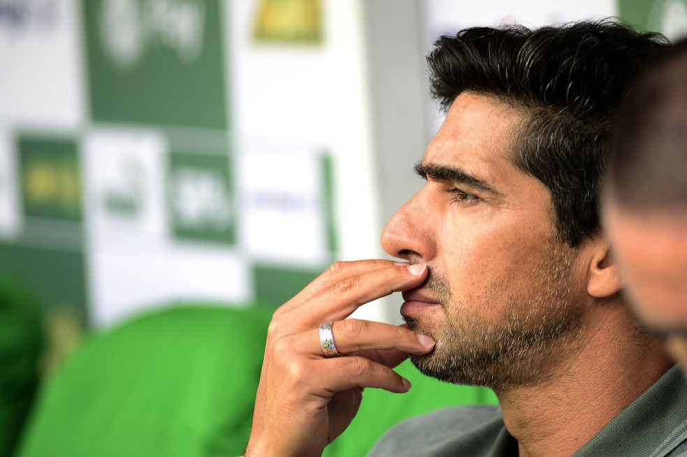 Abel Ferreira, técnico do Palmeiras, contra o Botafogo — Foto: Marcos Ribolli
