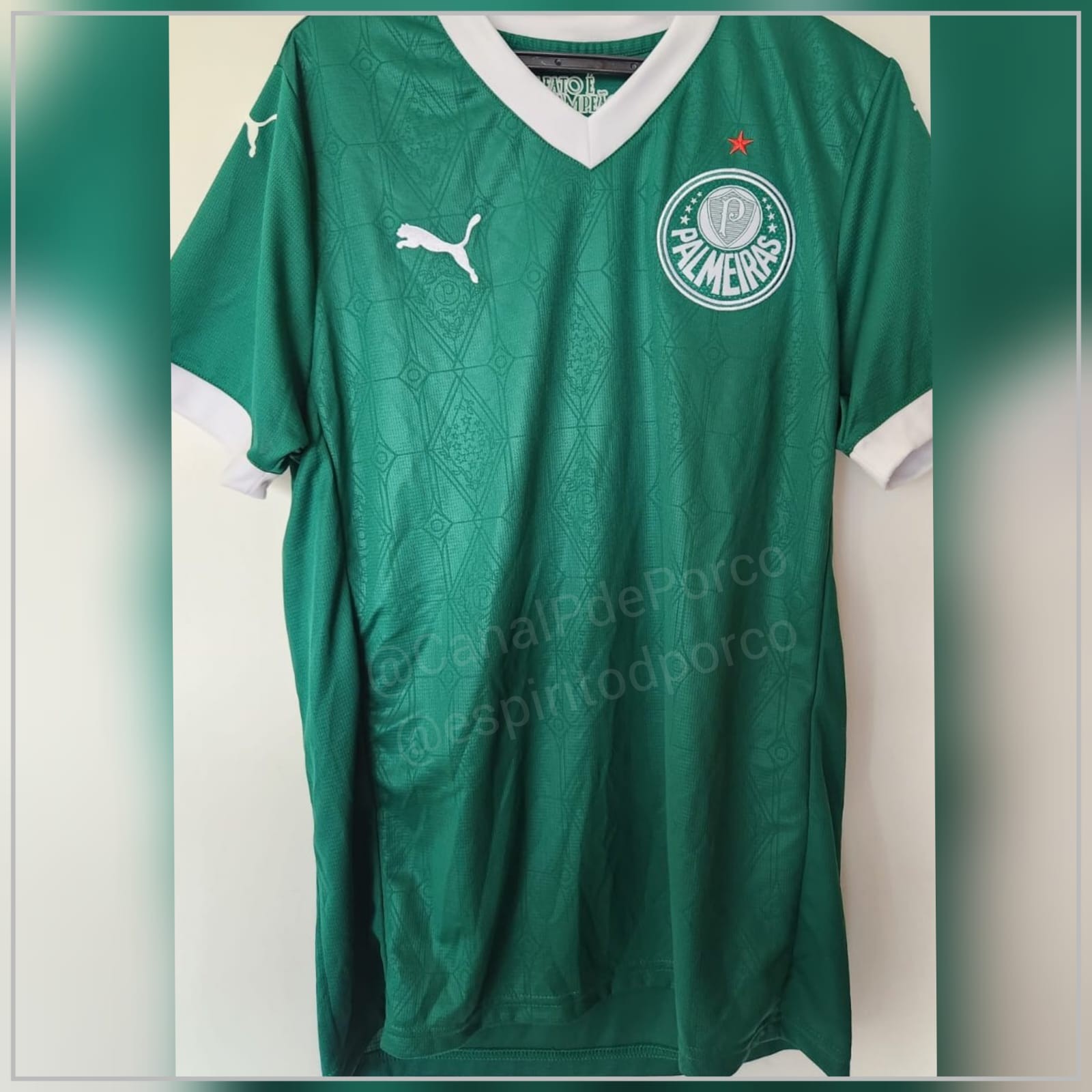 Vaza na Internet Imagem da Provável Camisa 1 do Palmeiras: ConfiraAquitemos!