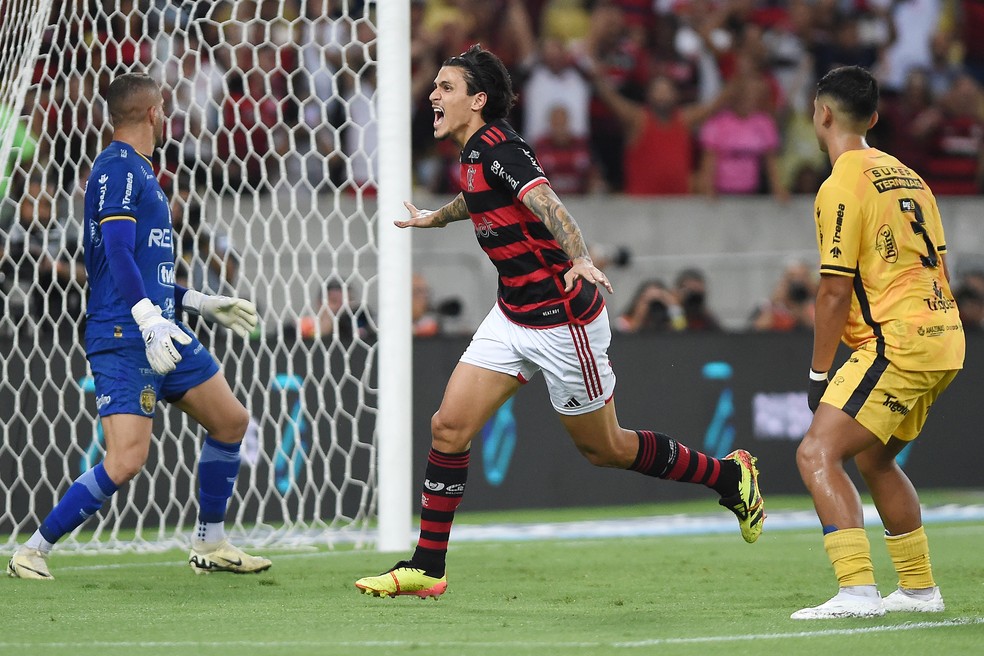 Pedro comemora Flamengo x Amazonas — Foto: André Durão