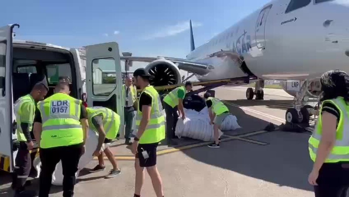 Avião de Leila Pereira, do Palmeiras, levará cinco toneladas de doações à Caxias