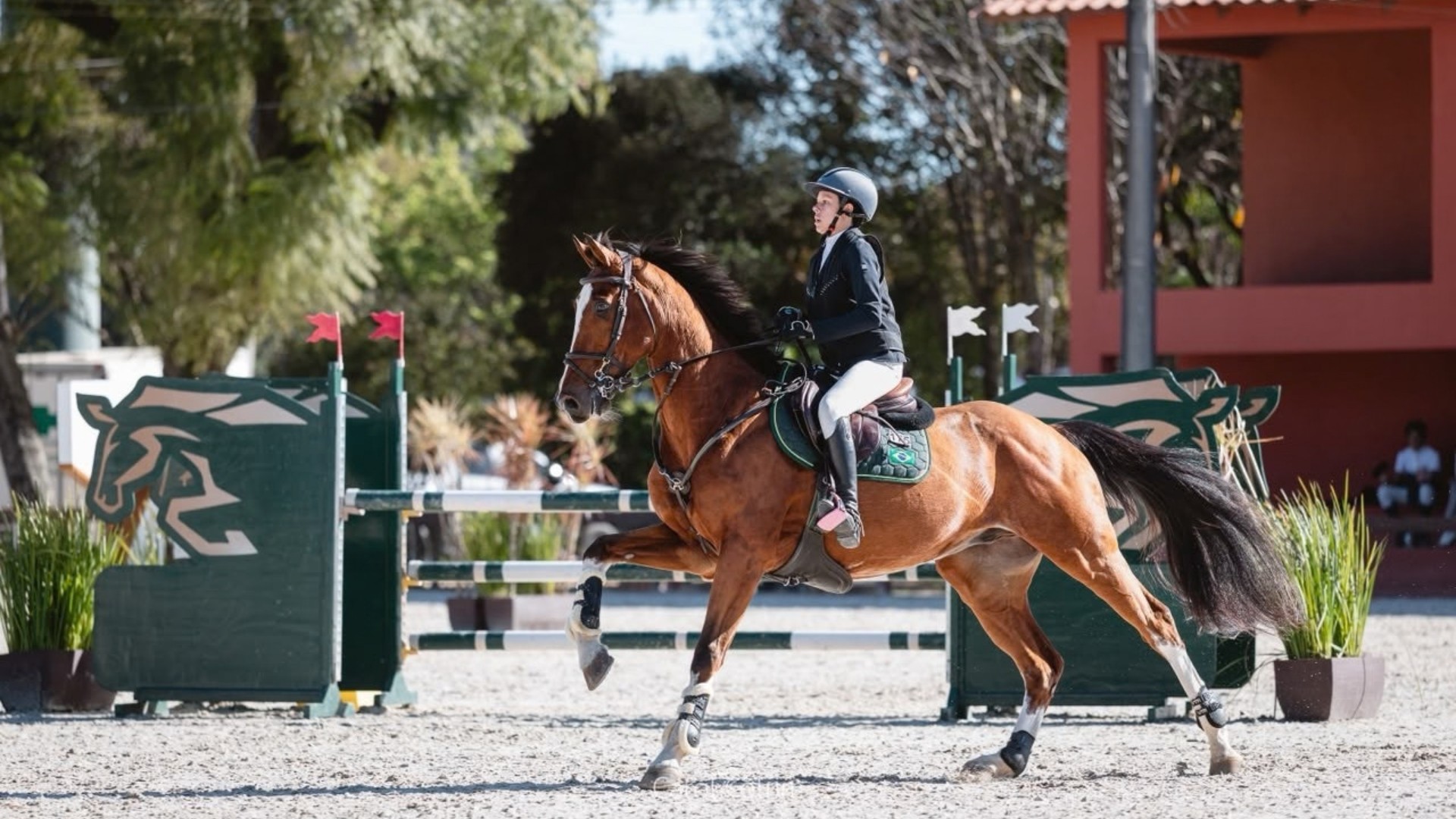 Amazona de Itu disputará Sul-Americano de Hipismo aos 12 anos