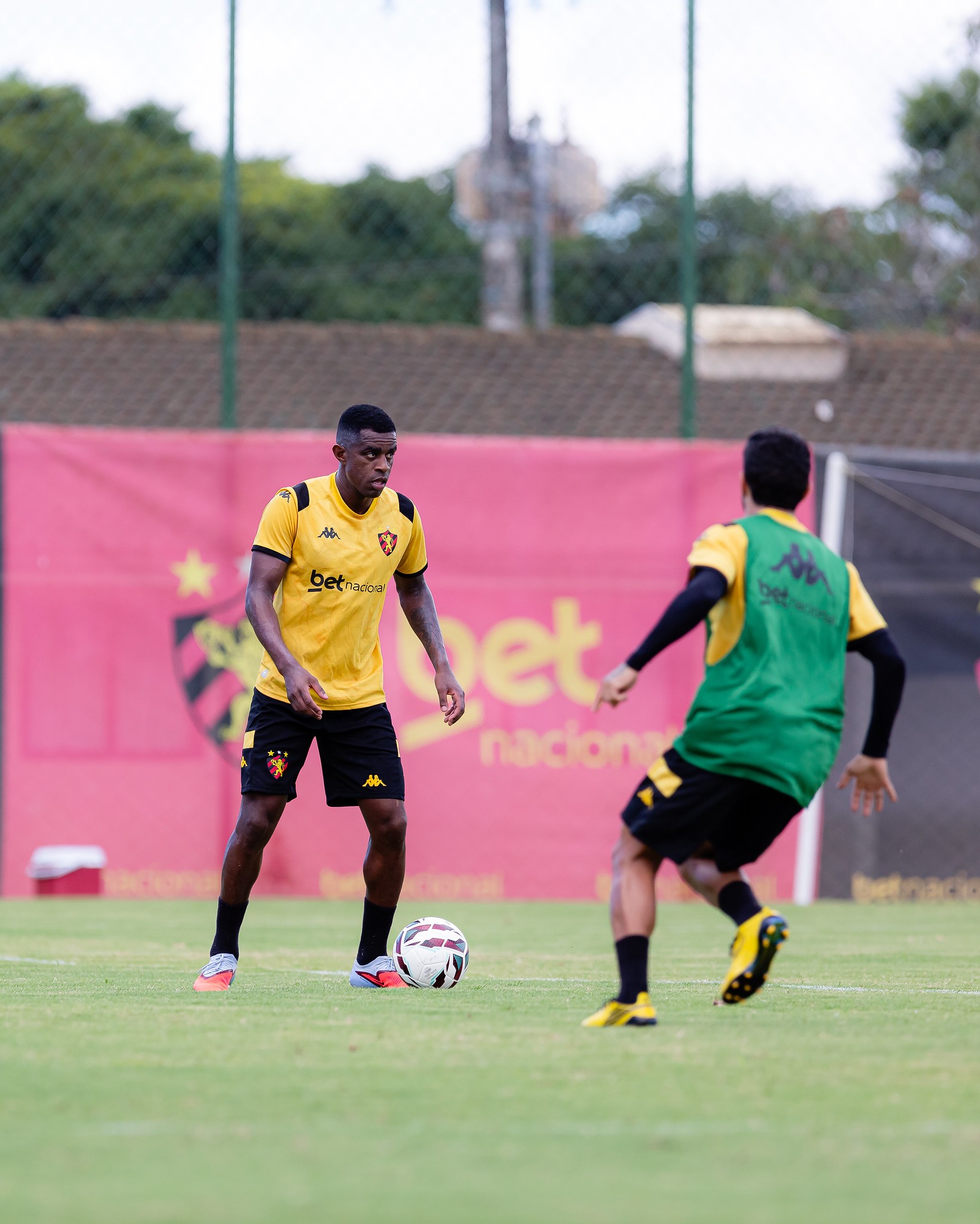 imagem