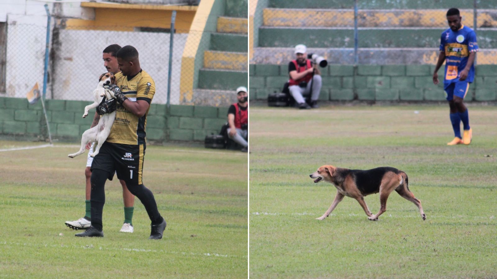 Capixaba Série B: Cachorros invadem o campo, em empate entre Pinheiros e GEL