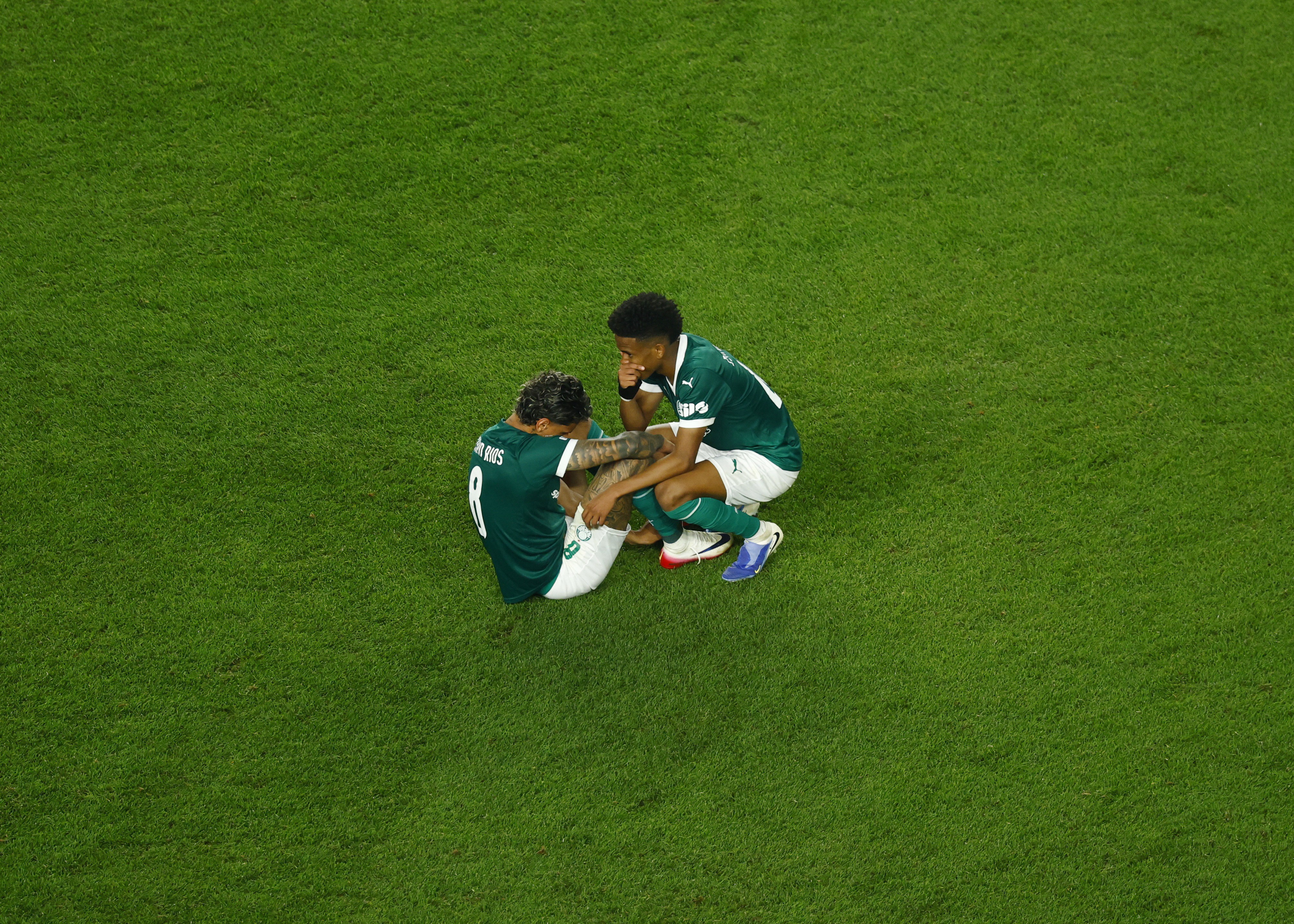 Palmeiras retorna ao Brasil após eliminação na Copa com possível reforço.