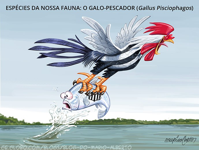 Galo forte e pescador