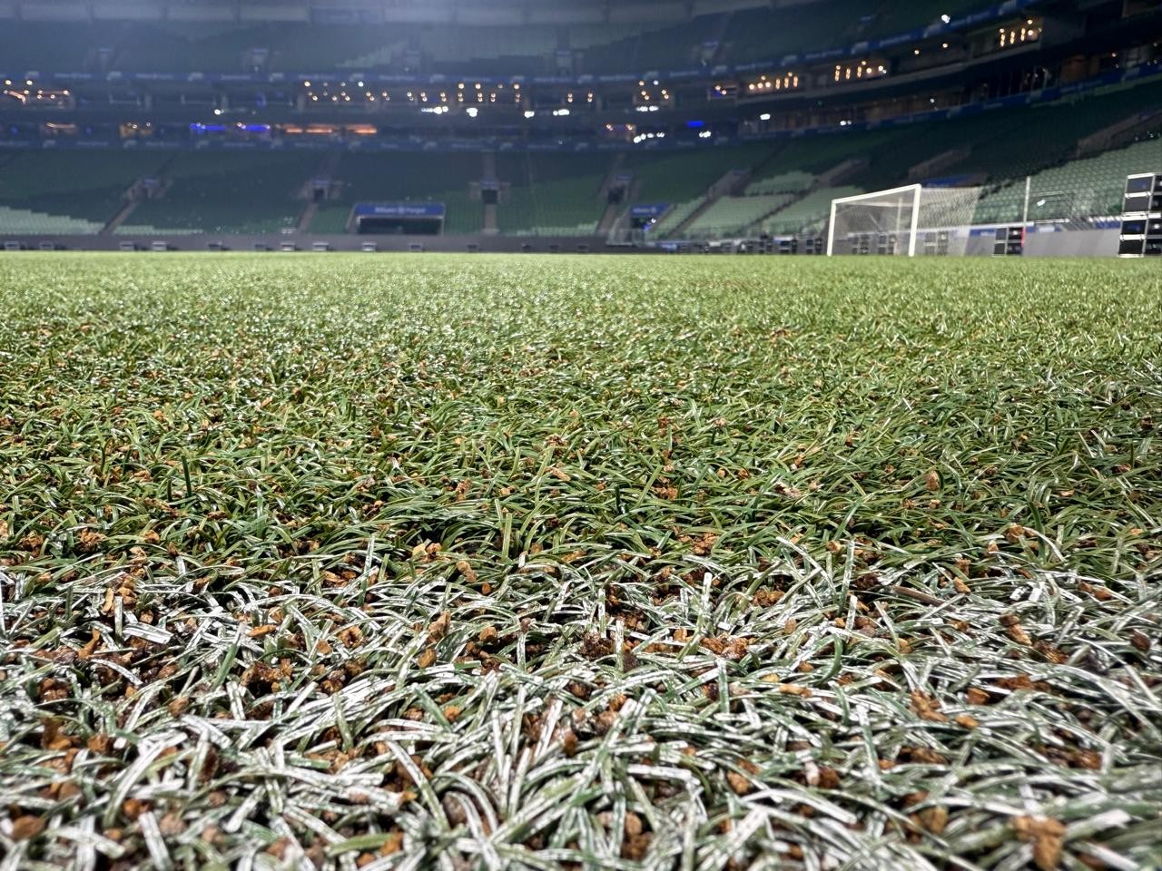 WTorre discute propostas e negocia com fornecedora de gramado do Palmeiras para o Allianz Parque