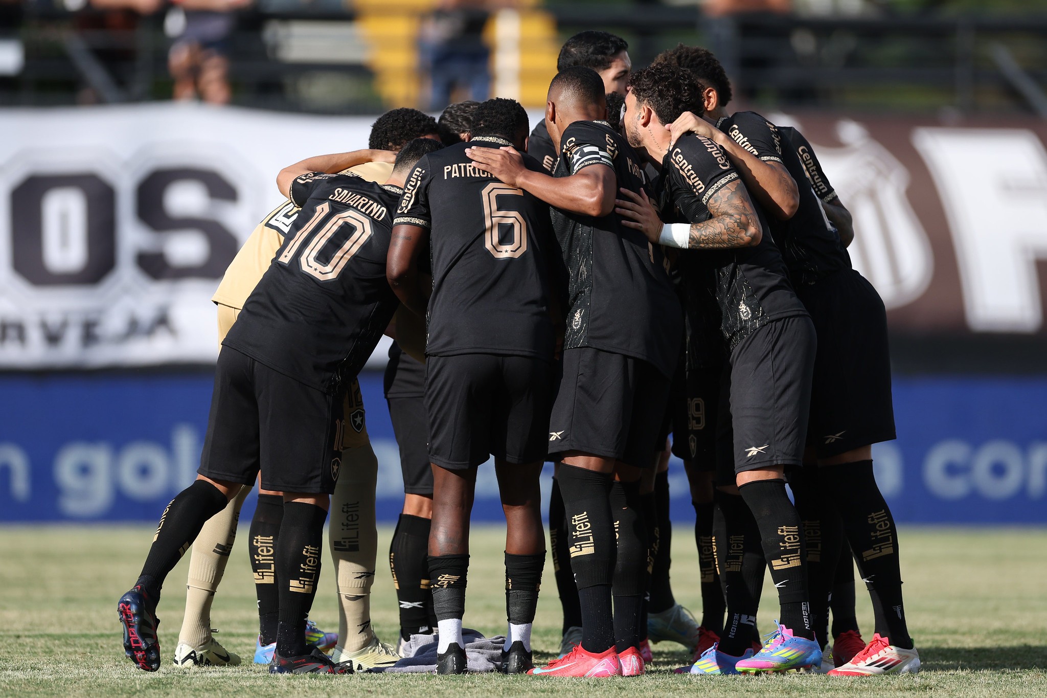 Botafogo volta a perder no Brasileirão após oito meses