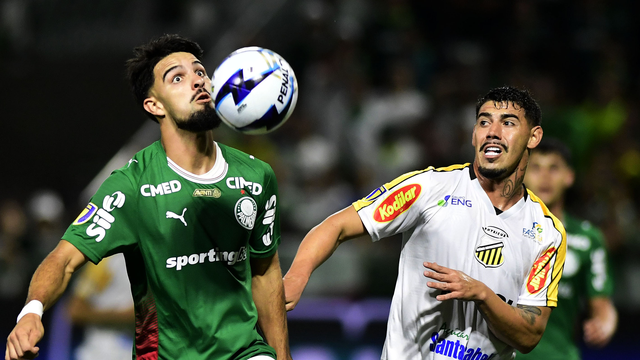 Palmeiras x Novorizontino