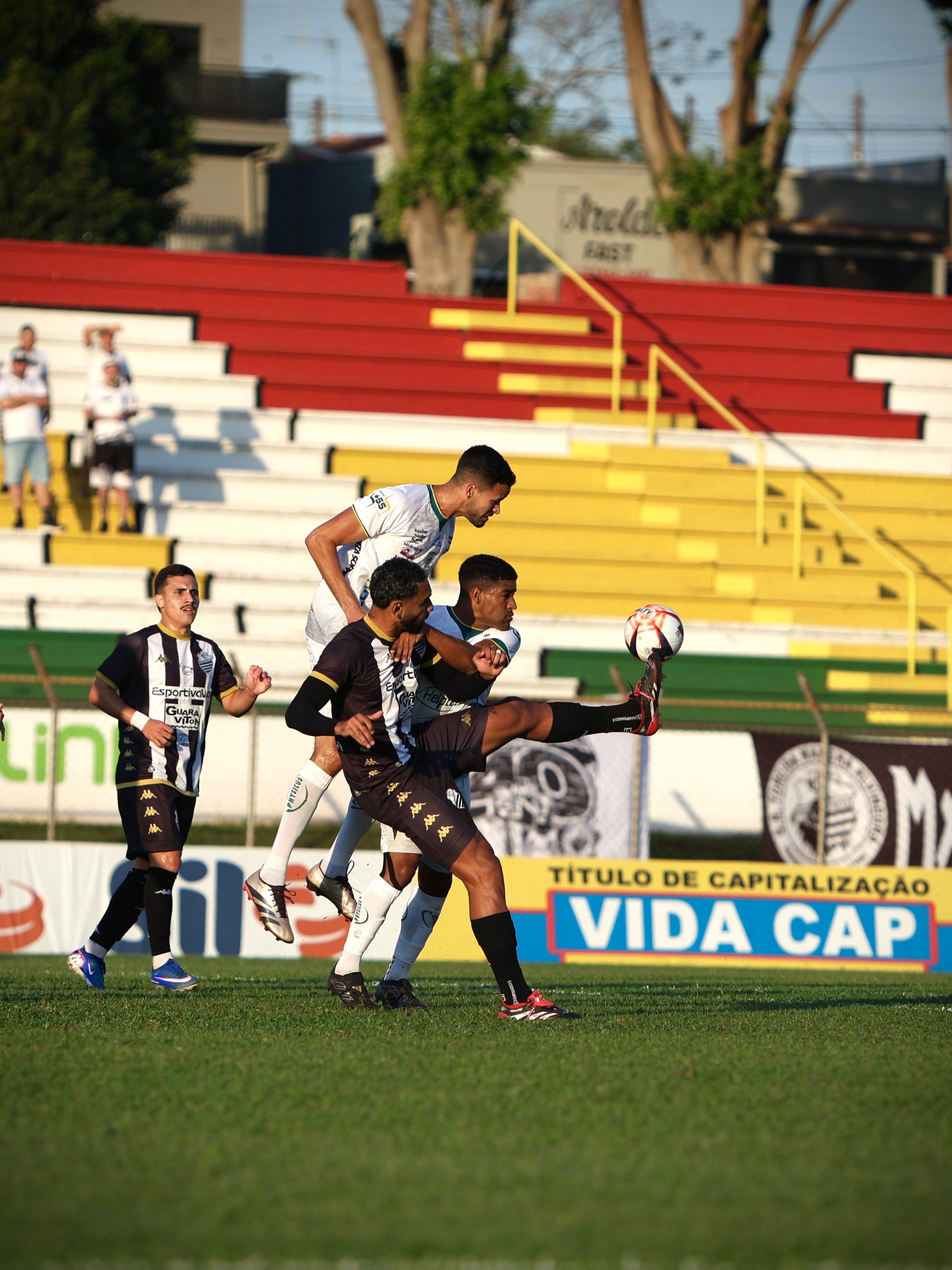 imagem