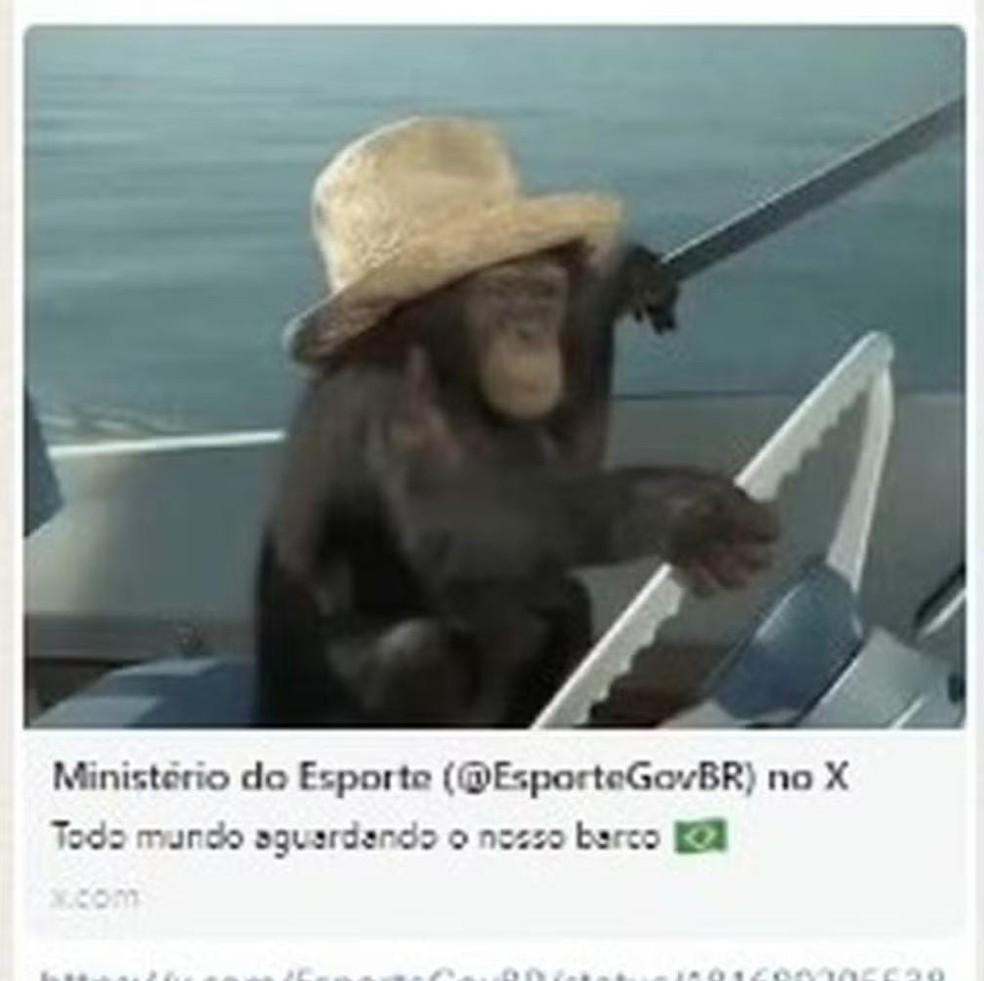 Minist&eacute;rio faz postagem racista com macaco em alus&atilde;o ao barco do Brasil na  abertura das Olimp&iacute;adas, tira do ar e lamenta | olimp&iacute;adas | ge