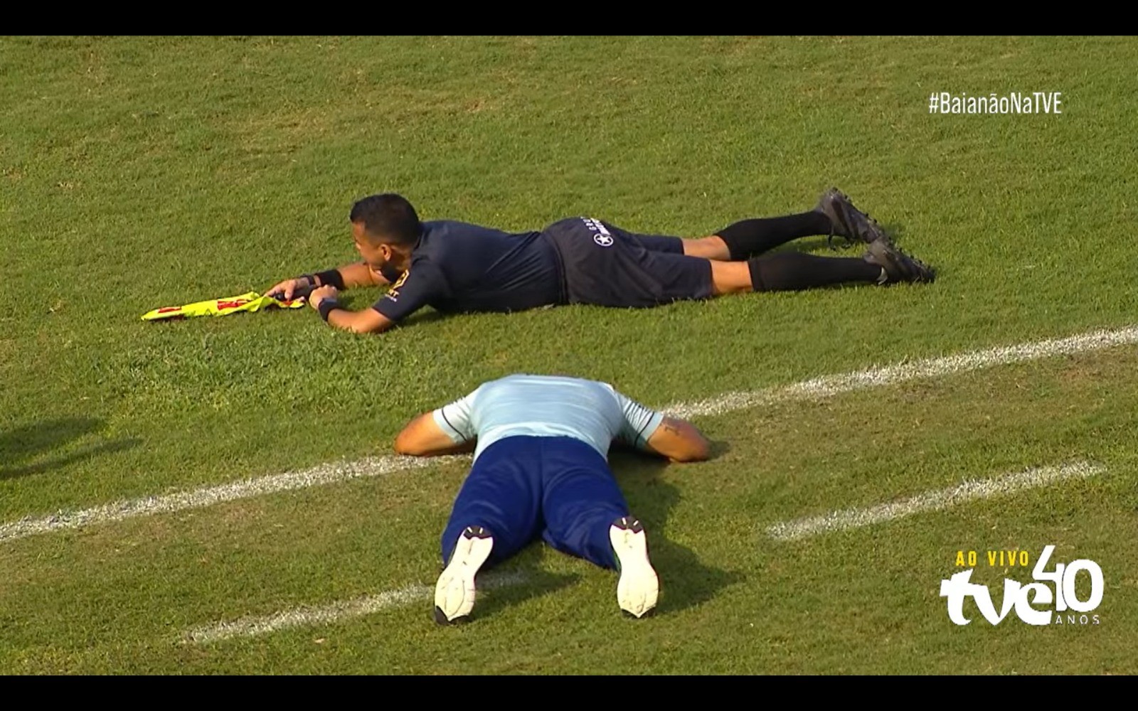 Ataque de abelhas interrompe final do Campeonato Baiano Sub-20