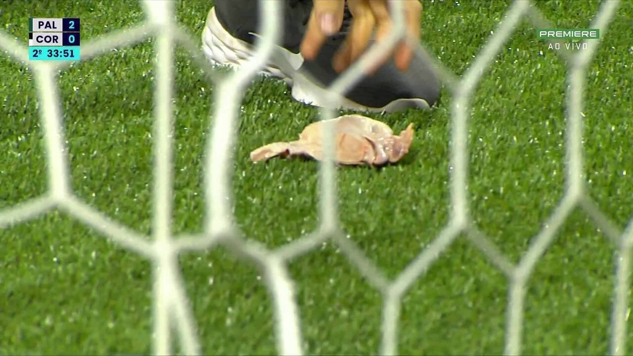 Palmeiras multado por comportamento inadequado em jogo: arremessos e cantos homofóbicos.