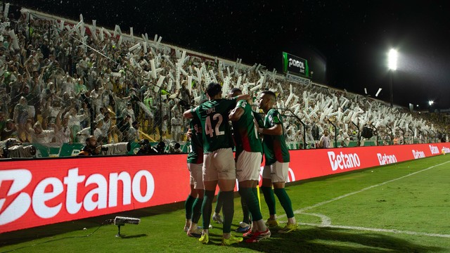 Jogadores do Palmeiras comemoram em frente à torcida em jogo contra o Novorizontino