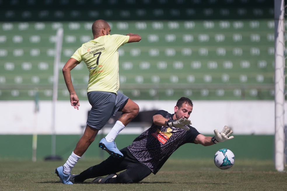 Jogo da Família será neste sábado no Brinco de Ouro