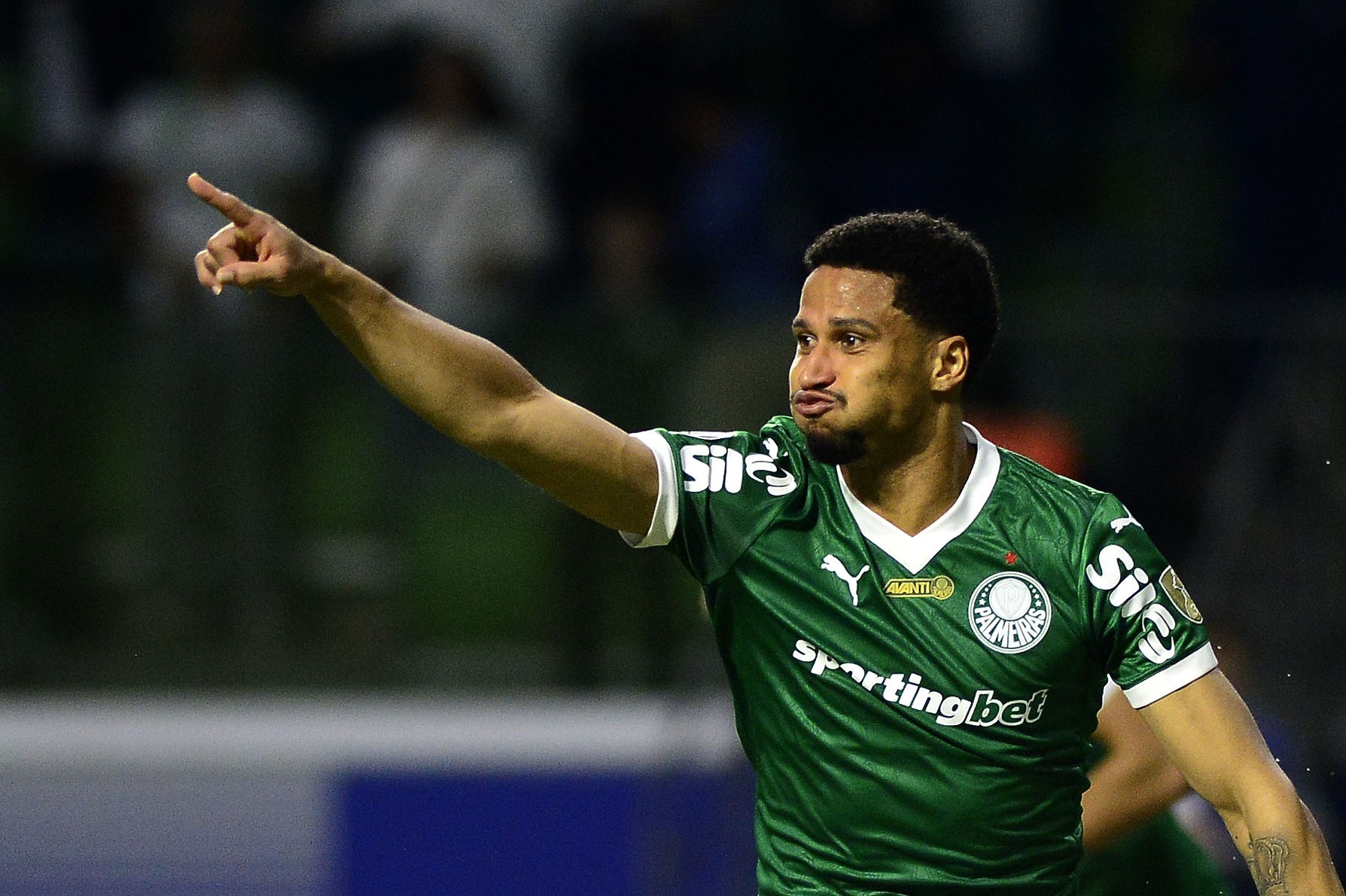 Palmeiras é líder geral pela sexta vez nas últimas oito edições da Libertadores e empilha recordes