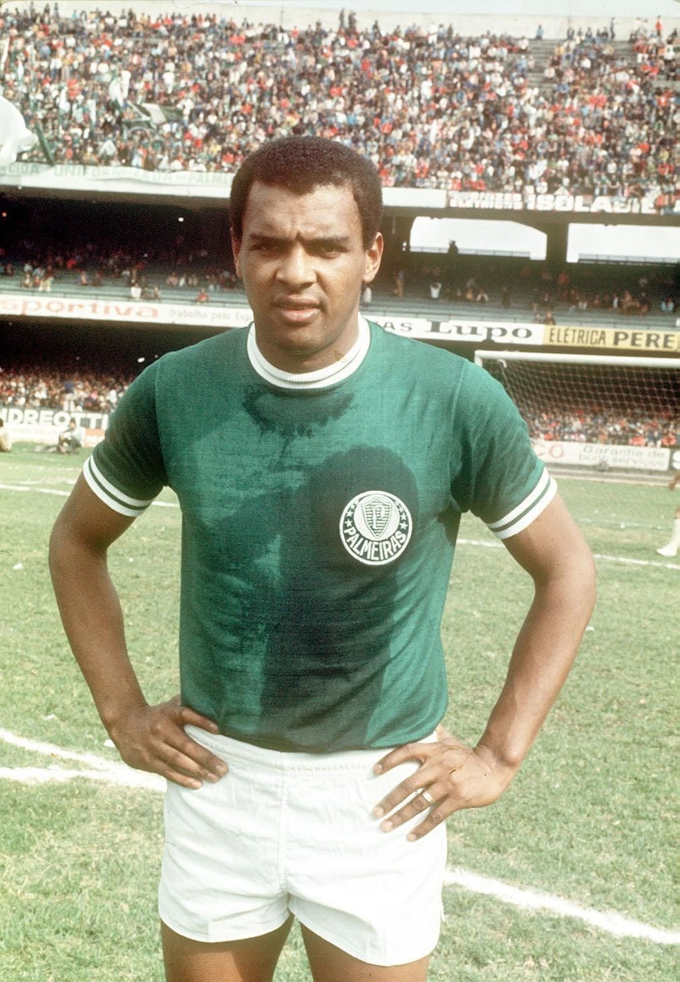 Luís Pereira, segundo zagueiro com mais jogos pelo Palmeiras e o zagueiro com mais gols — Foto: Reprodução/Site Palmeiras