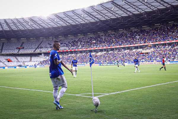 Cruzeiro: Zé Ivaldo acumula cinco cartões amarelos; Larcamon destaca evolução mental.