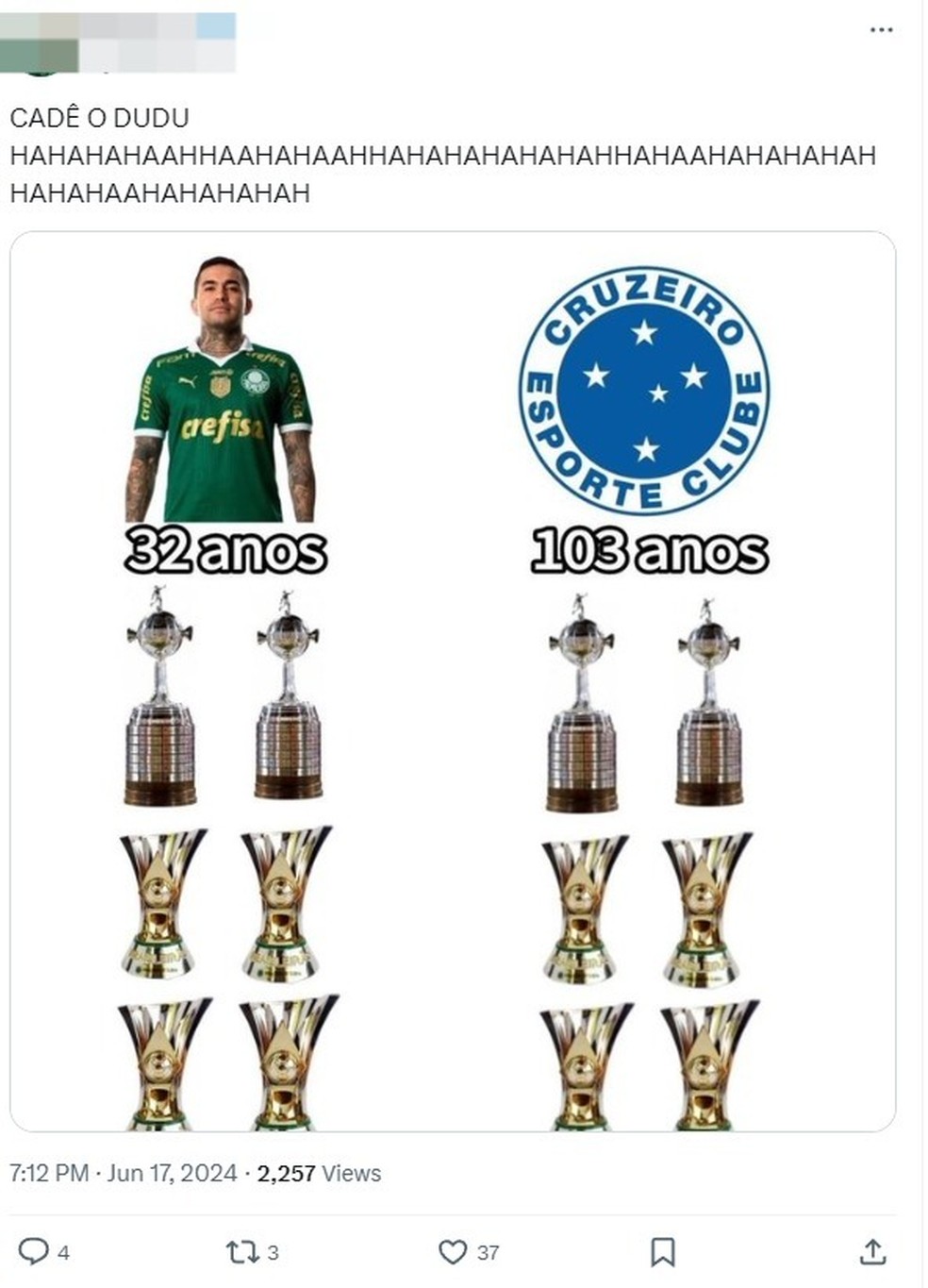 Meme Cruzeiro e Dudu — Foto: Reprodução / redes sociais