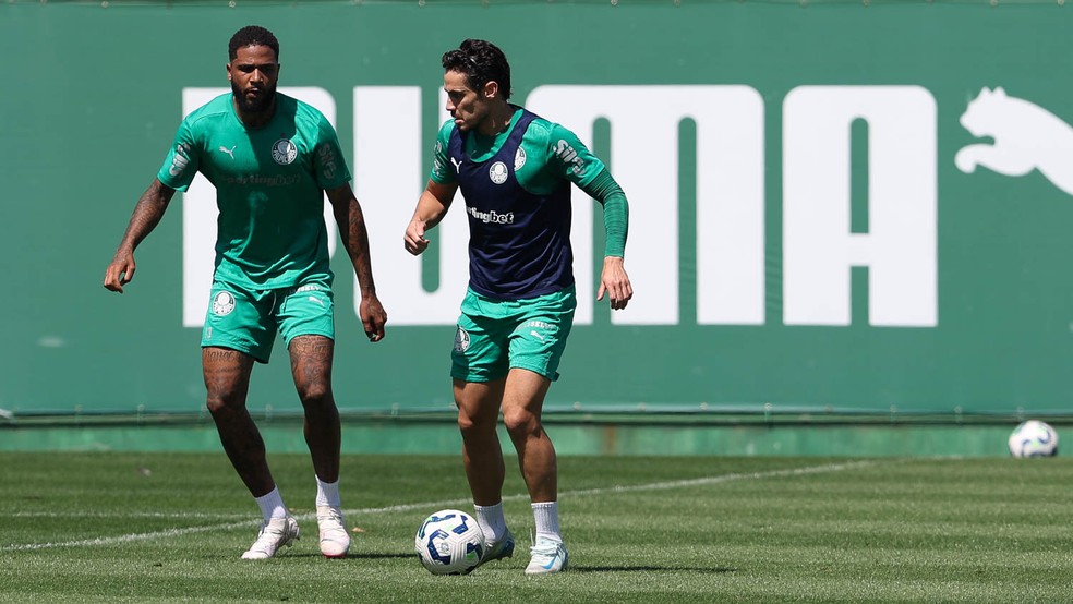 Escalação: convocados treinam, e Palmeiras tem elenco completo com voltas de Veiga e Mauricio
