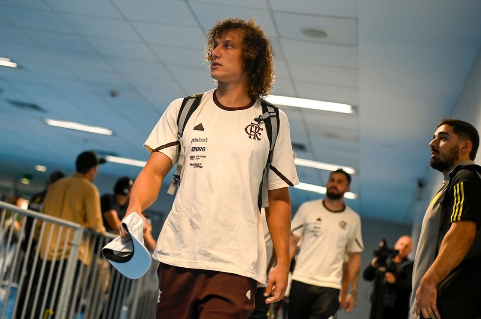 David Luiz em a&ccedil;&atilde;o pelo Flamengo no Brasileir&atilde;o &mdash; Foto: Divulga&ccedil;&atilde;o/Flamengo
