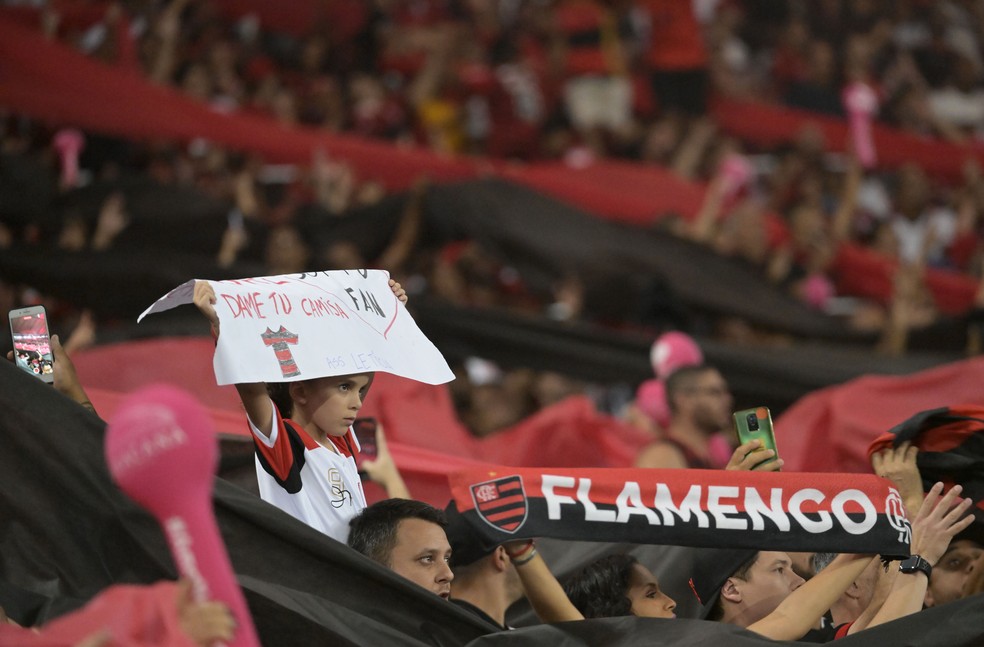 ZICO. Embora já possuísse a maior torcida do Brasil, o Flamengo só