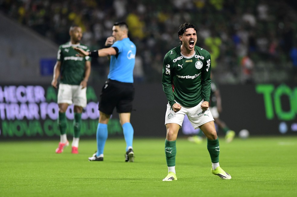 Mauricio em Palmeiras x Botafogo — Foto: Marcos Ribolli