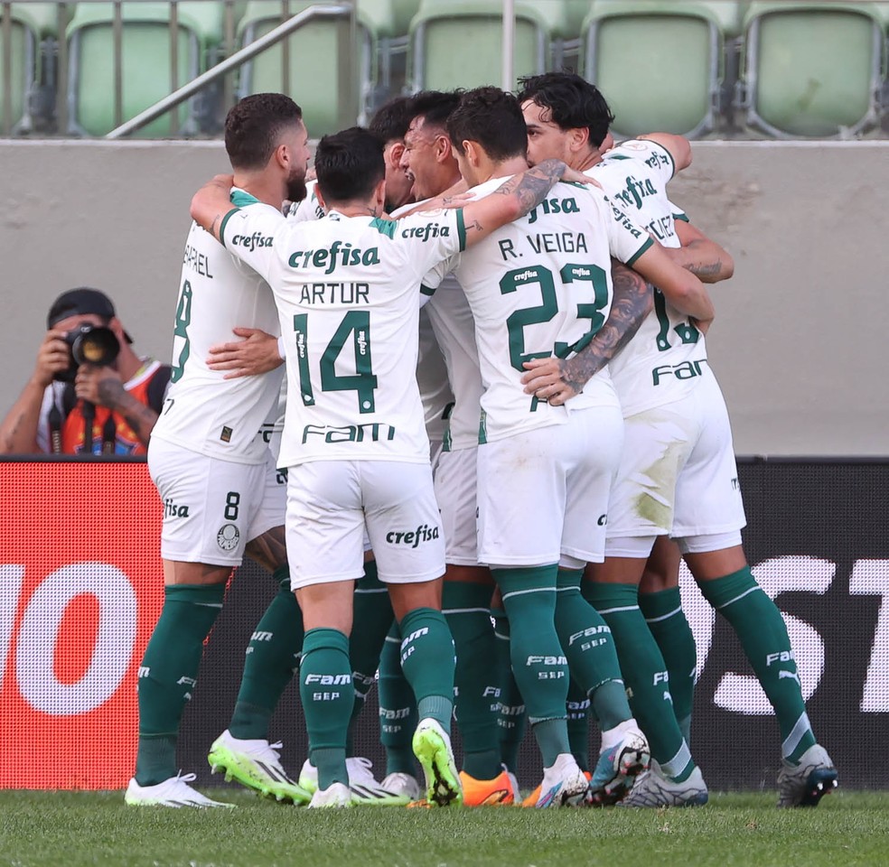 Jogadores do Palmeiras comemoram vitória contra o América-MG — Foto: Cesar Greco / Palmeiras