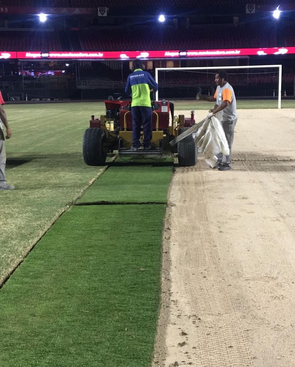 Gramado do Morumbi é trocado nas férias do São Paulo — Foto: Reprodução