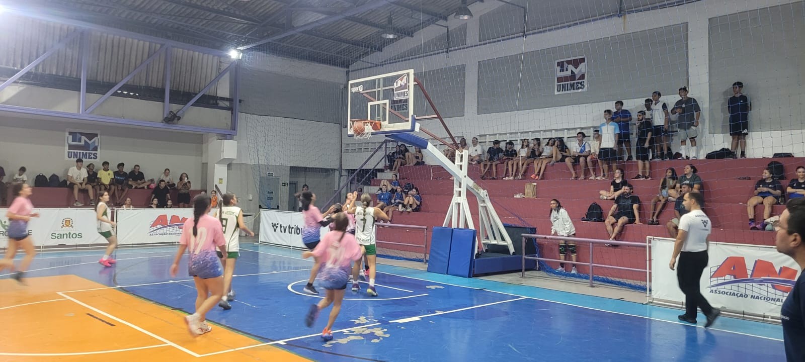 Copa TV Tribuna de Basquete Escolar define finalistas