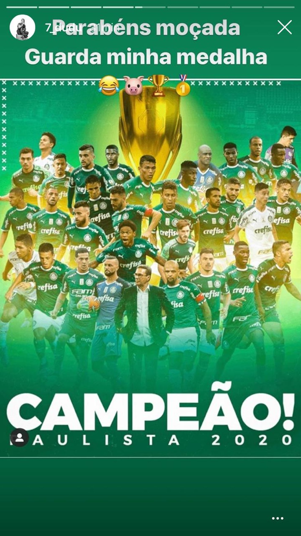 Palmeiras: 24 vezes campeão paulista com introdução de