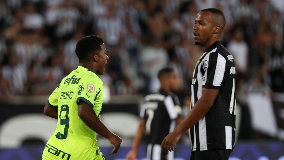 Endrick comemora gol pelo Palmeiras contra o Botafogo — Foto: Cesar Greco/Palmeiras