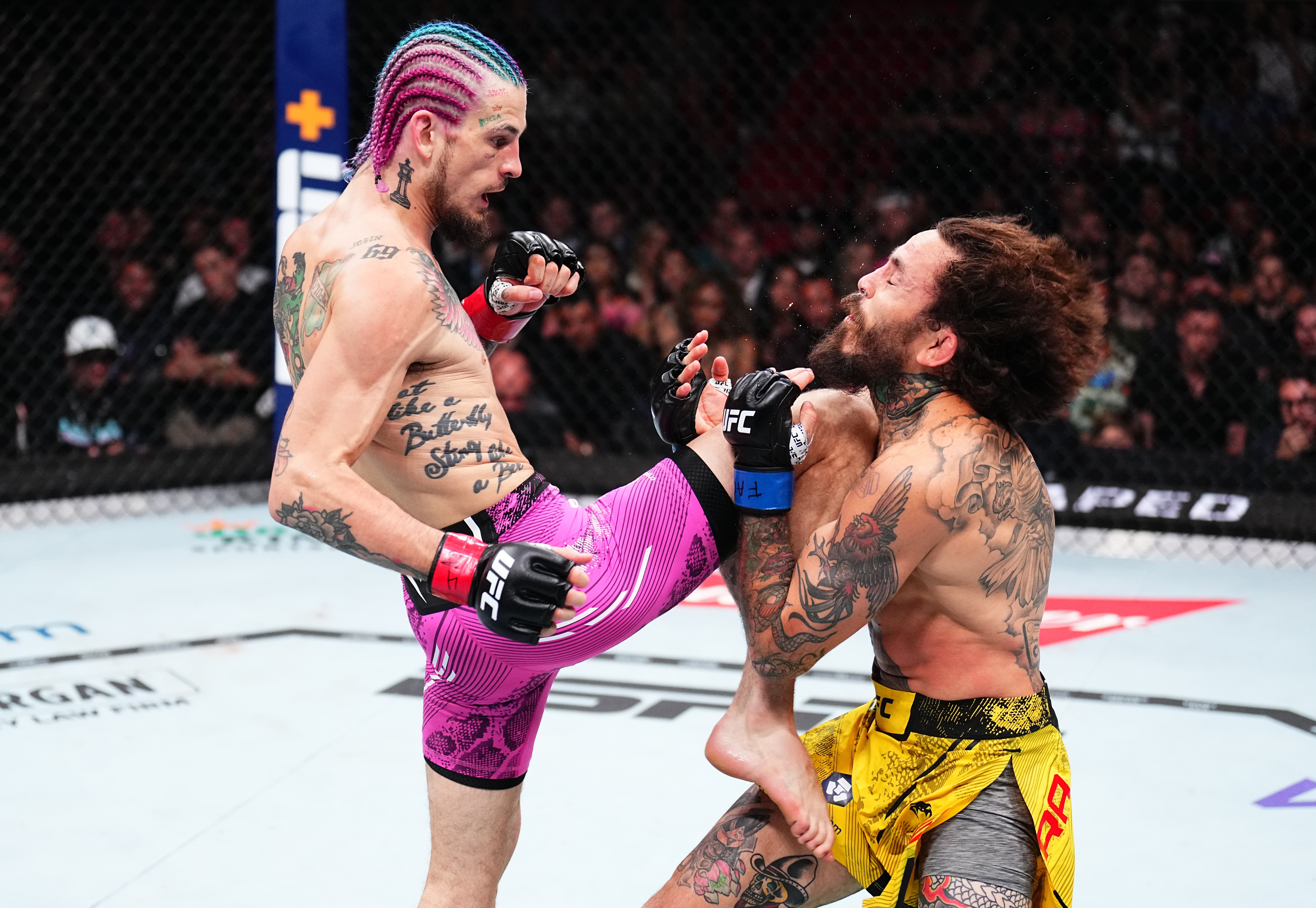 UFC 299: Sean O'Malley defende cinturão com vitória sobre Marlon Vera | Ge