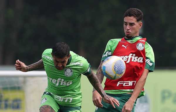 NOVO JOGADOR! Joia ex-Fluminense, reforça o Palmeiras e treina com profissionais