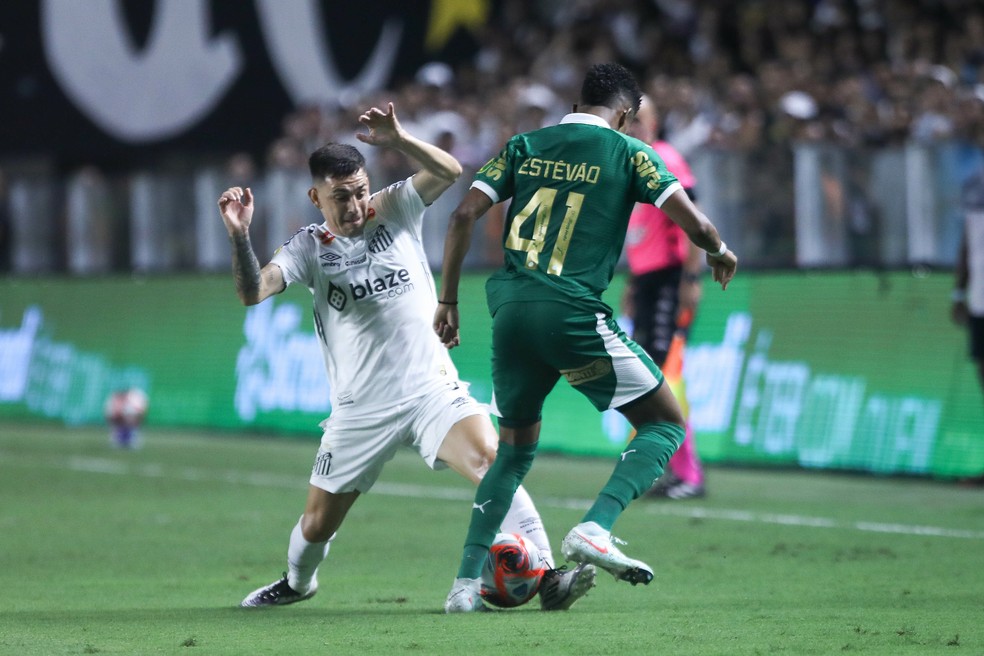 Santos e Palmeiras podem definir situações no Paulistão nesta rodada — Foto: Reinaldo Campos/AGIF