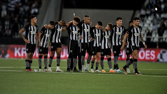 Foto: (Thiago Ribeiro/Botafogo)