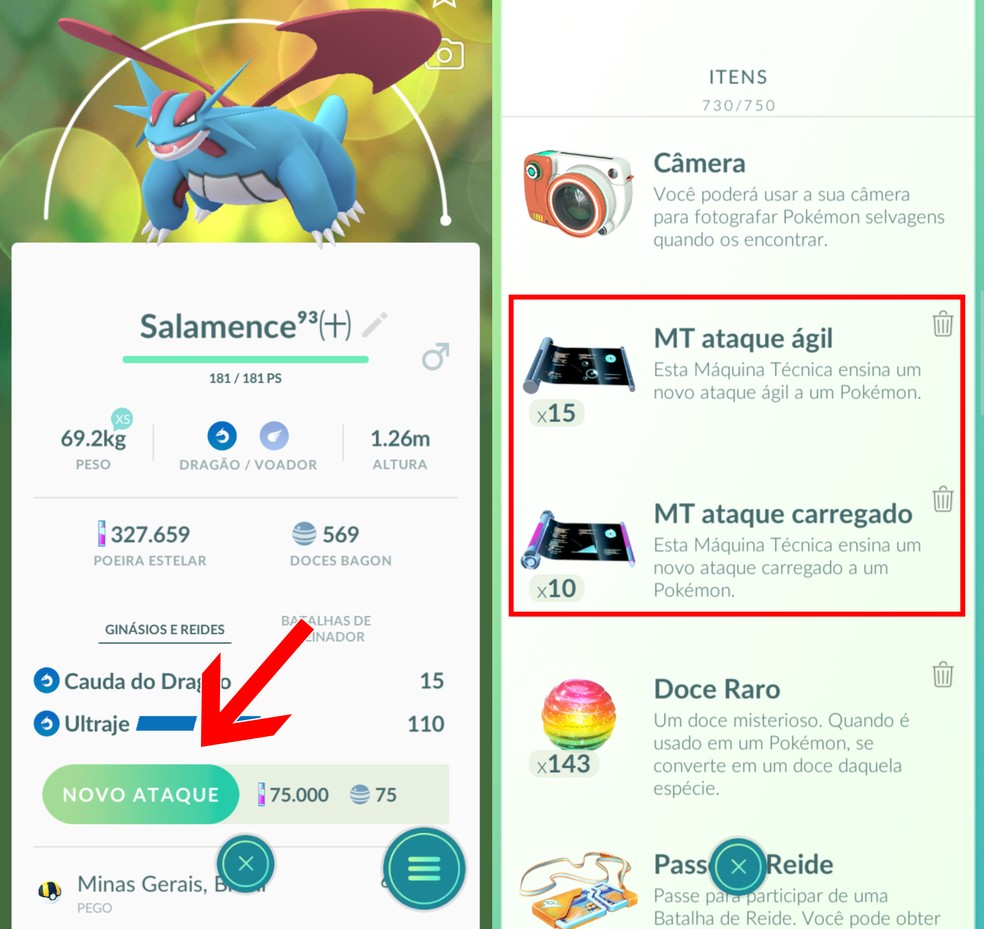 Pokémon GO: como encontrar mais facilmente cada tipo de Pokémon