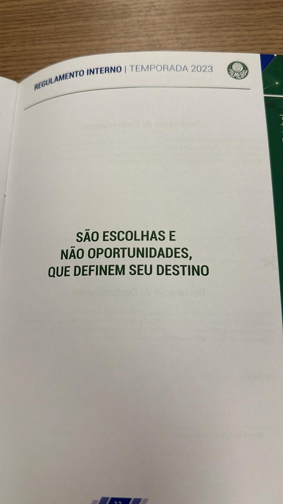 "São escolhas e não oportunidades, que definem seu destino": diz o regulamento interno do Palmeiras de 2023 — Foto: Reprodução