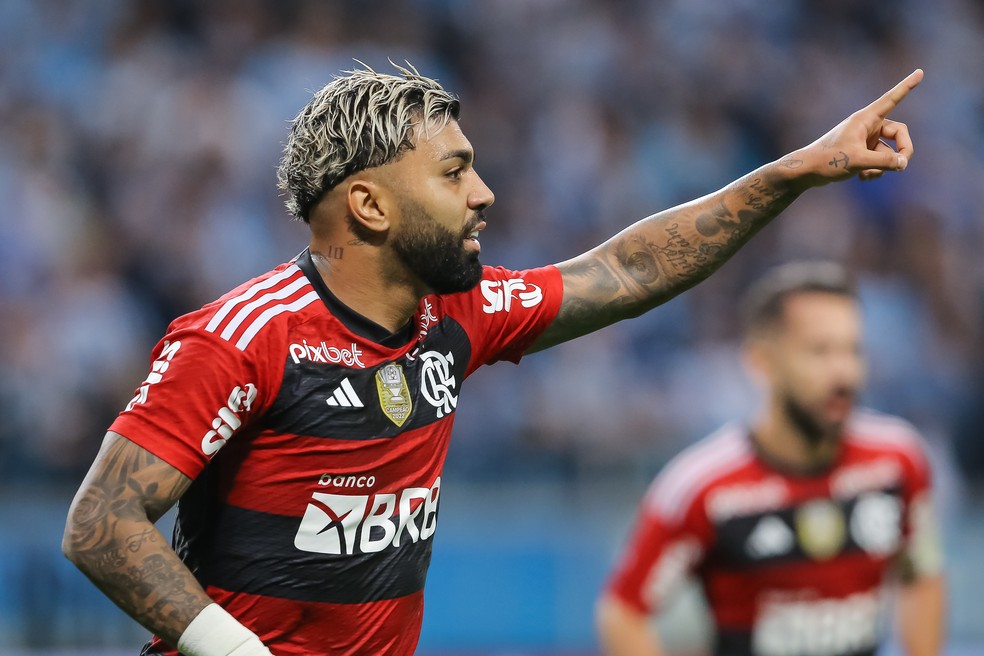 Gabigol comemora gol em Grêmio x Flamengo  — Foto: Pedro H. Tesch/AGIF