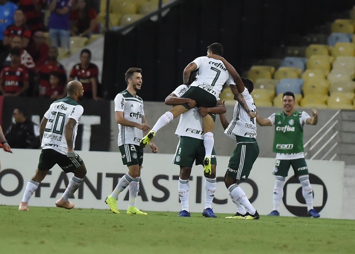 Palmeiras chega a 81% de chances de título; luta contra o rebaixamento ...