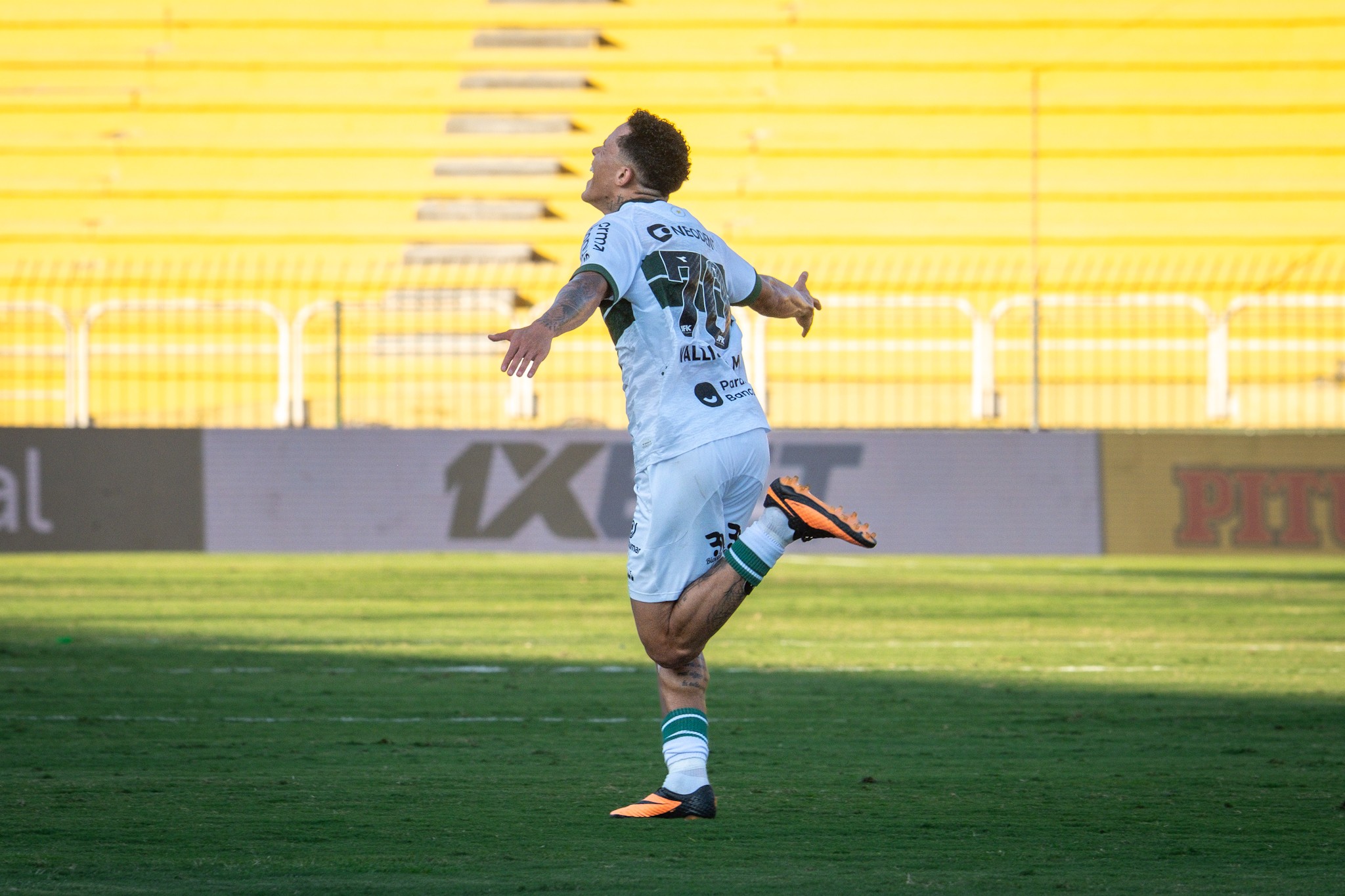 imagem