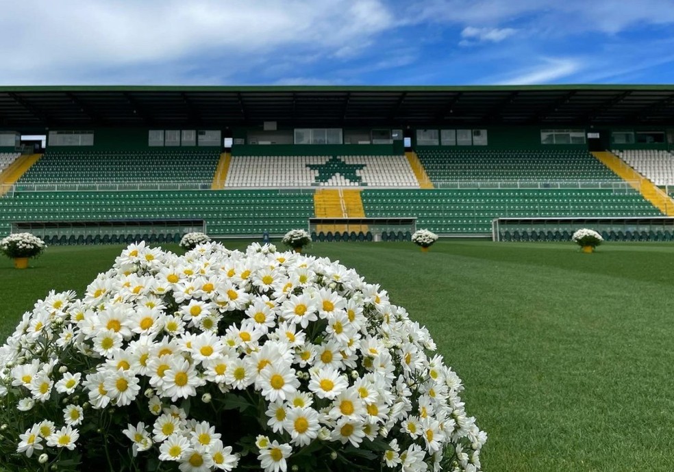 Flores colocadas no gramado da Arena Condá — Foto: Alessandra Seidel/ACF