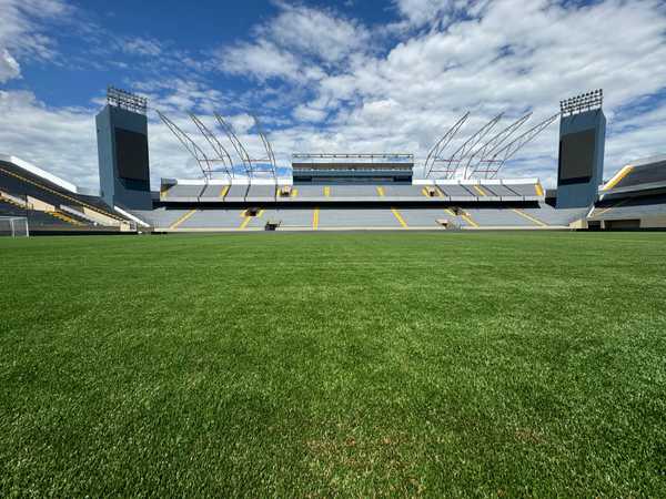 Palmeiras x Novorizontino: onde assistir ao vivo, horário e escalações