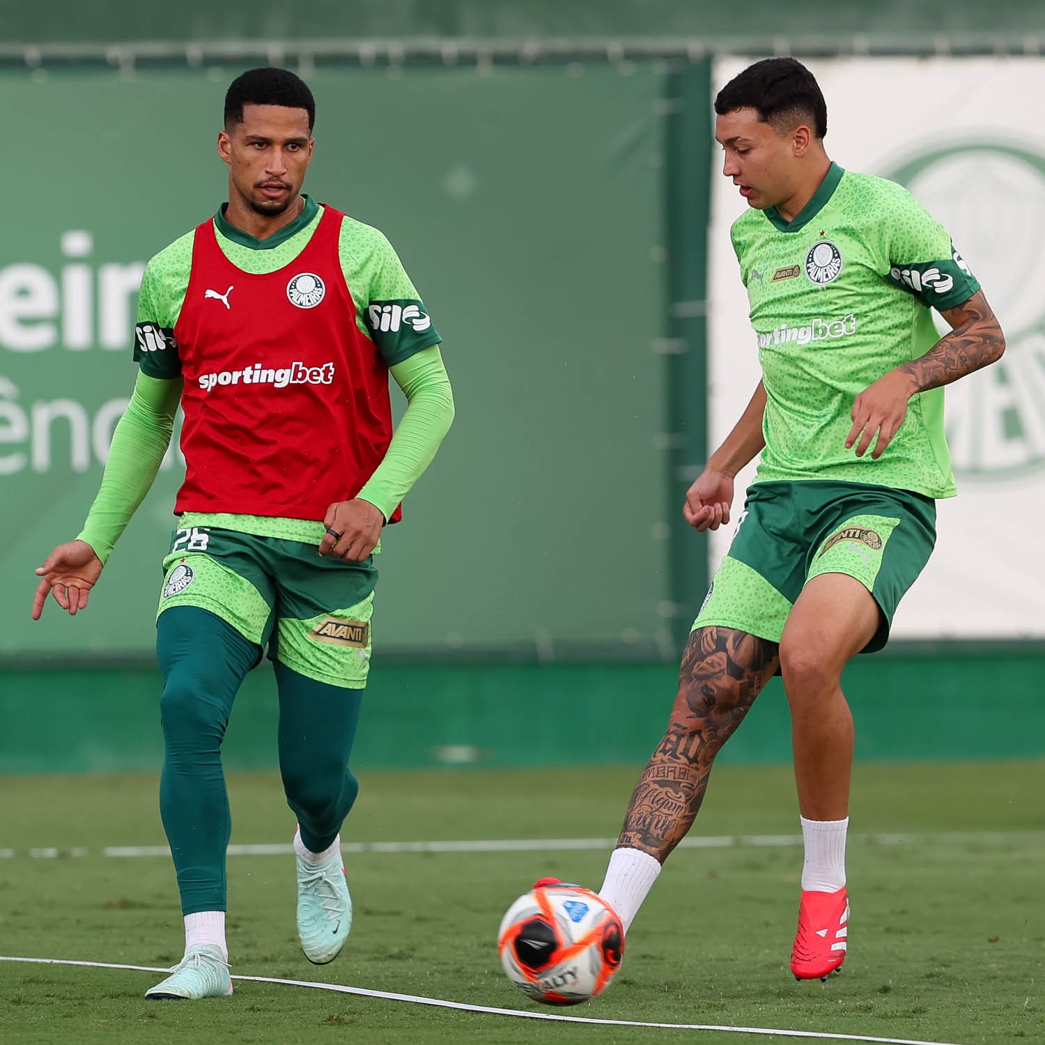 Palmeiras Precisa de Duas Mudanças para Enfrentar o Botafogo-SP