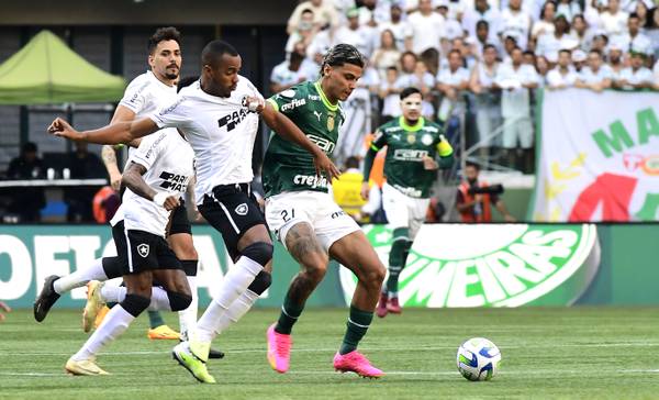 Com empate do Palmeiras, Botafogo nem precisa entrar em campo para