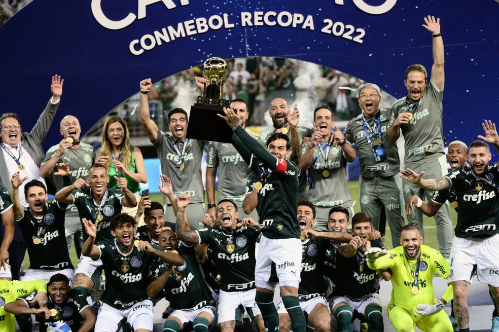 Estádio TNT Sports - COMEMORA, TORCEDOR! Palmeiras é campeão Paulista de  2022! 🐽🐽