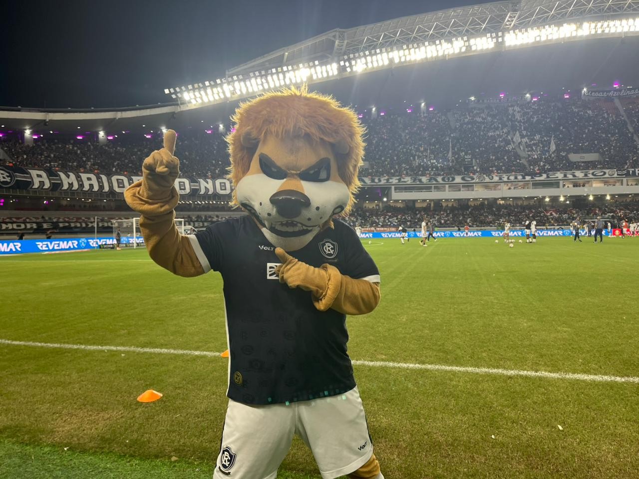Remo pode conquistar o 15° acesso do futebol paraense caso suba para a ...