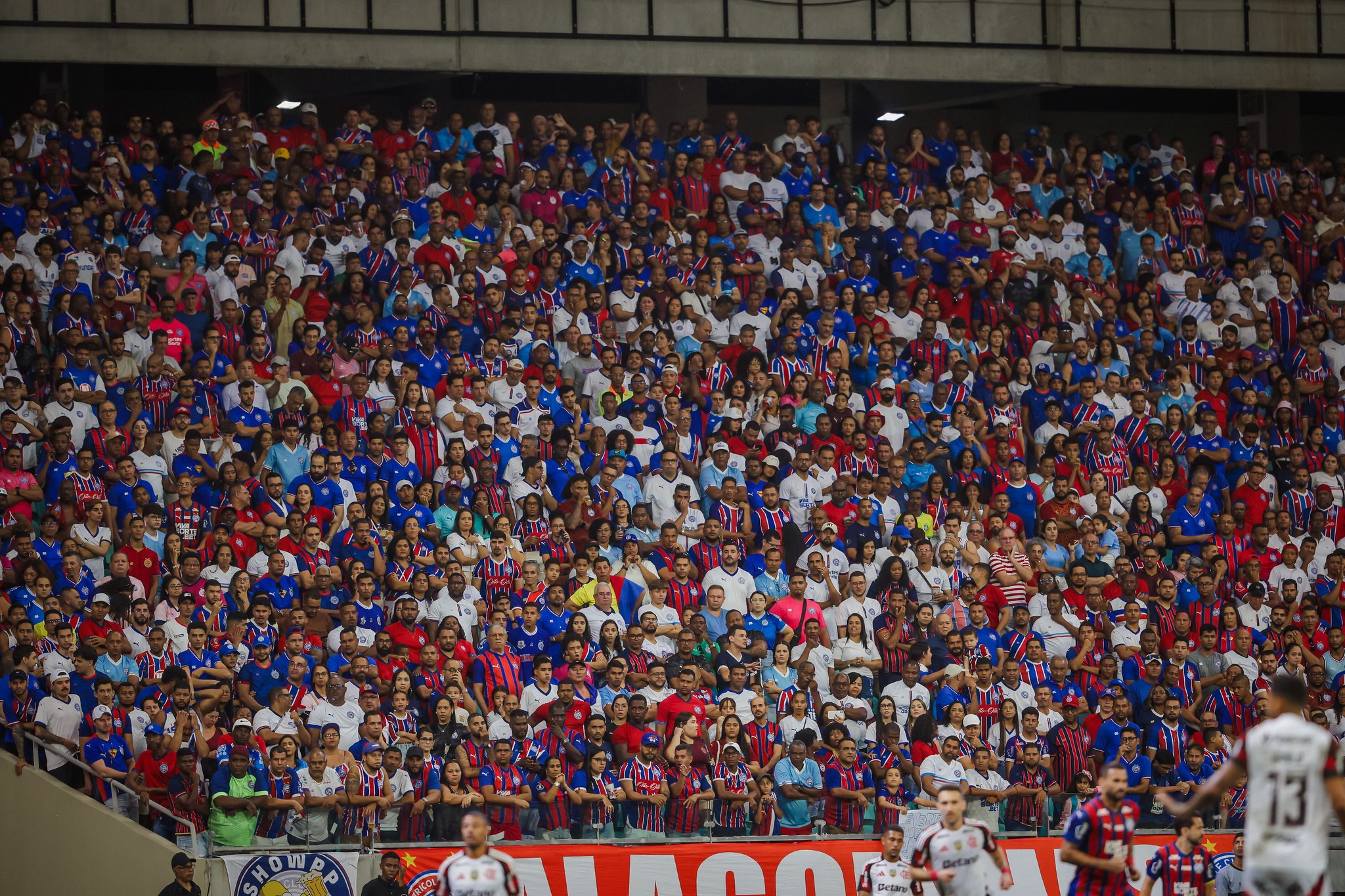 Bahia bate recorde de público em partida contra o Flamengo