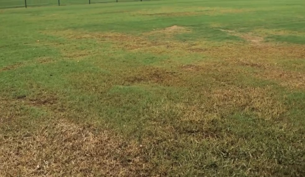 Imagens exclusivas do CT de Cotia — Foto: Reprodução