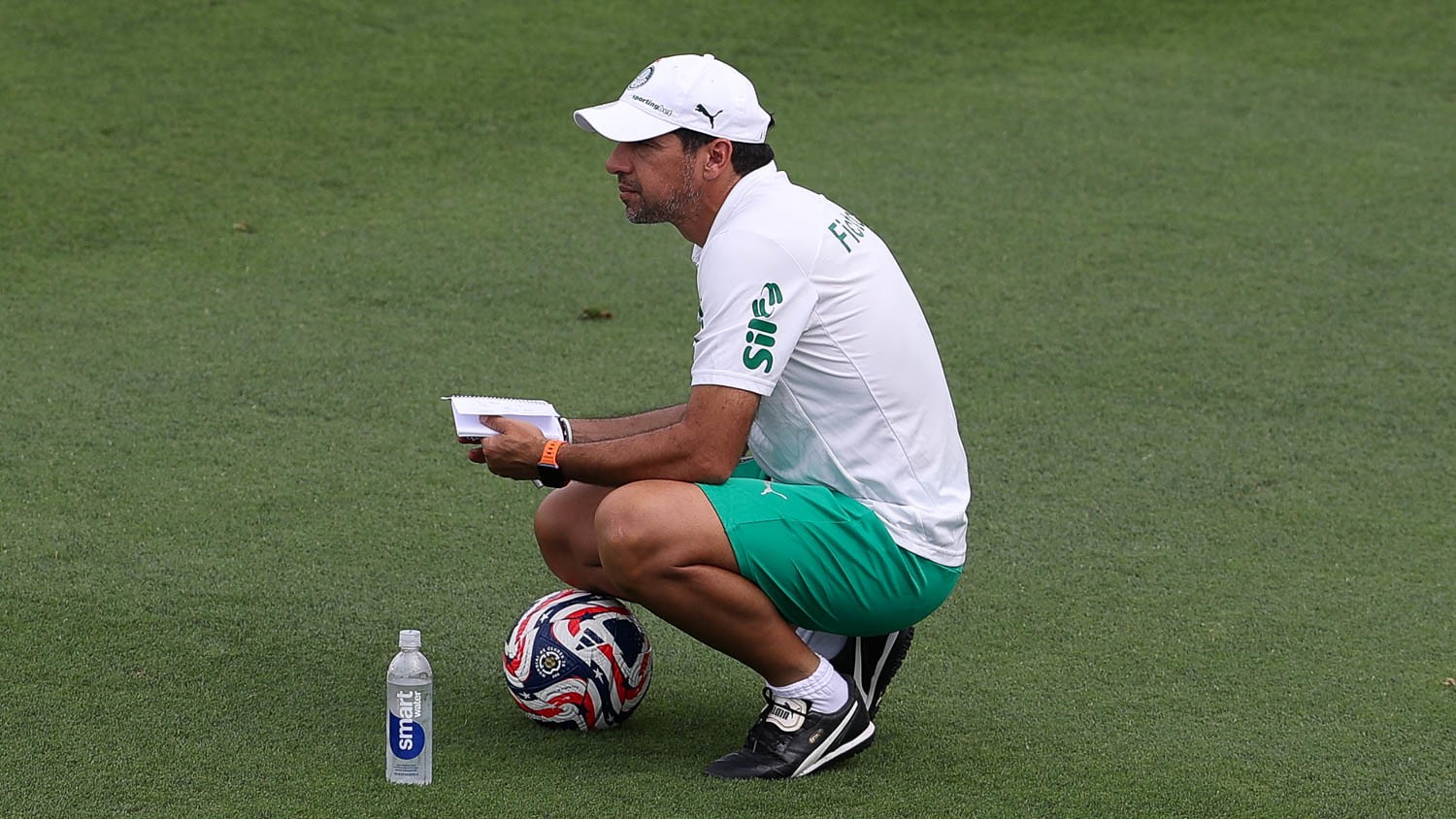 Palmeiras liga 