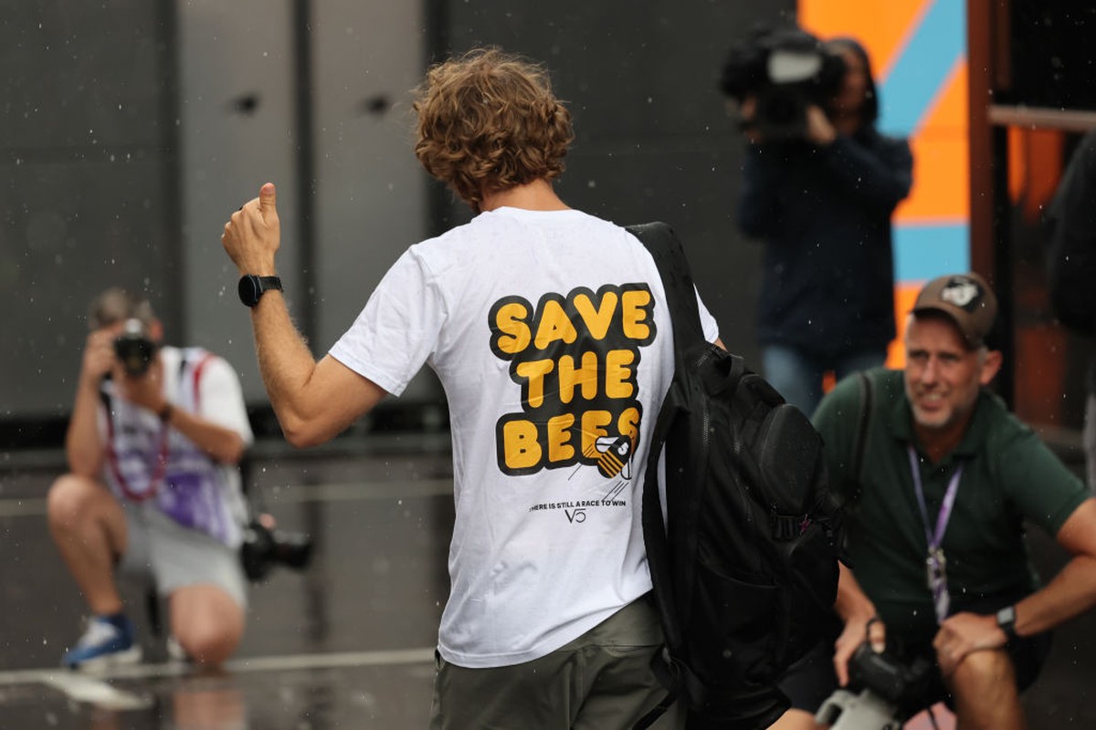 F1: ベッテルは生物多様性のために日本でシマウマの絵を描く | 式1